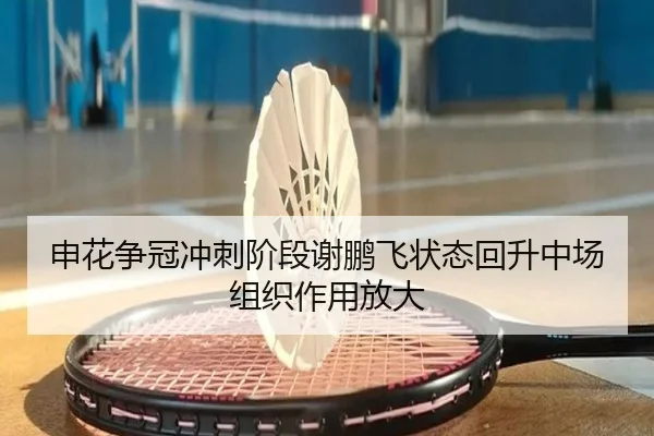 申花争冠冲刺阶段谢鹏飞状态回升中场组织作用放大