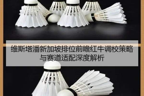 维斯塔潘新加坡排位前瞻红牛调校策略与赛道适配深度解析